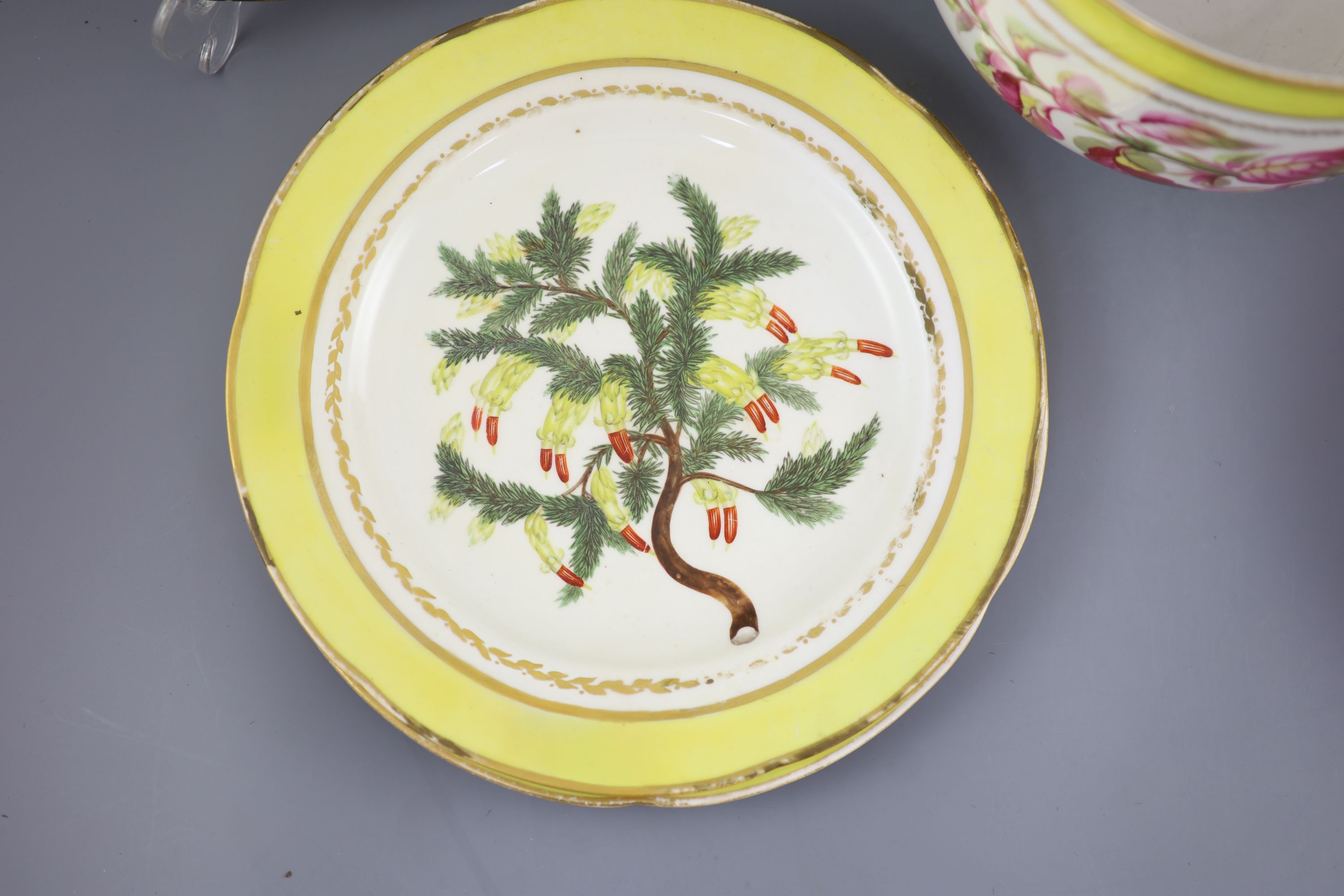 A group of Derby yellow ground botanical dessert and dinner wares, c.1790-1810